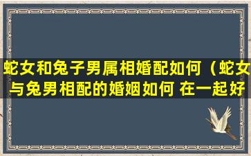 蛇女和兔子男属相婚配如何（蛇女与兔男相配的婚姻如何 在一起好吗）